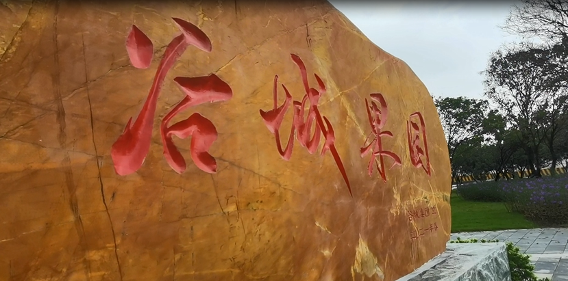 谷城礦業(yè)直播：走進(jìn)“谷城果園”！