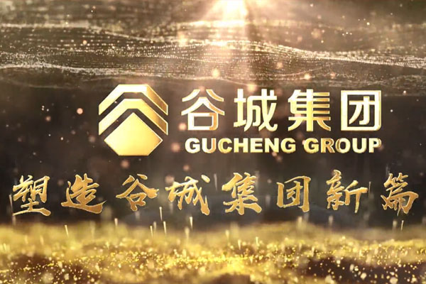 共筑新時(shí)代，不負(fù)韶華夢(mèng)——谷城集團(tuán)隆重舉行2019年度榮譽(yù)表彰大會(huì)暨2020年迎春年會(huì)
